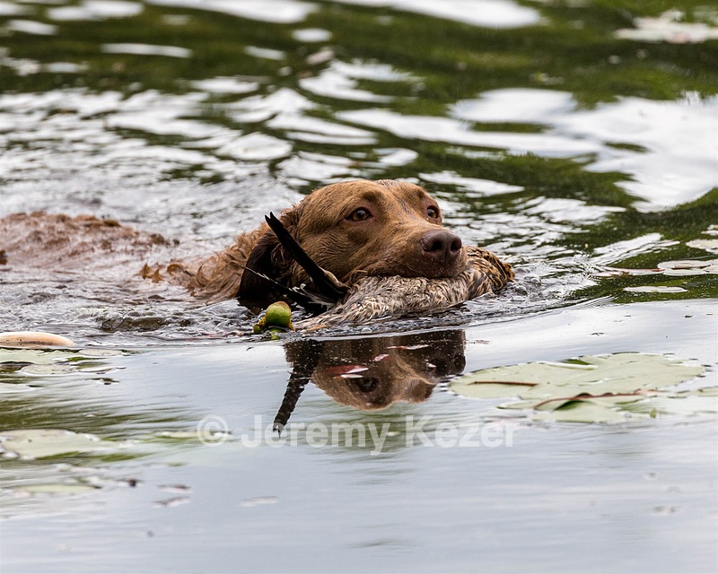20170603-SEAW-0049.jpg