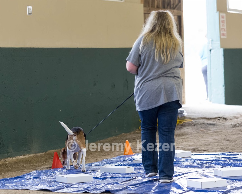 Spyder Tinkham
