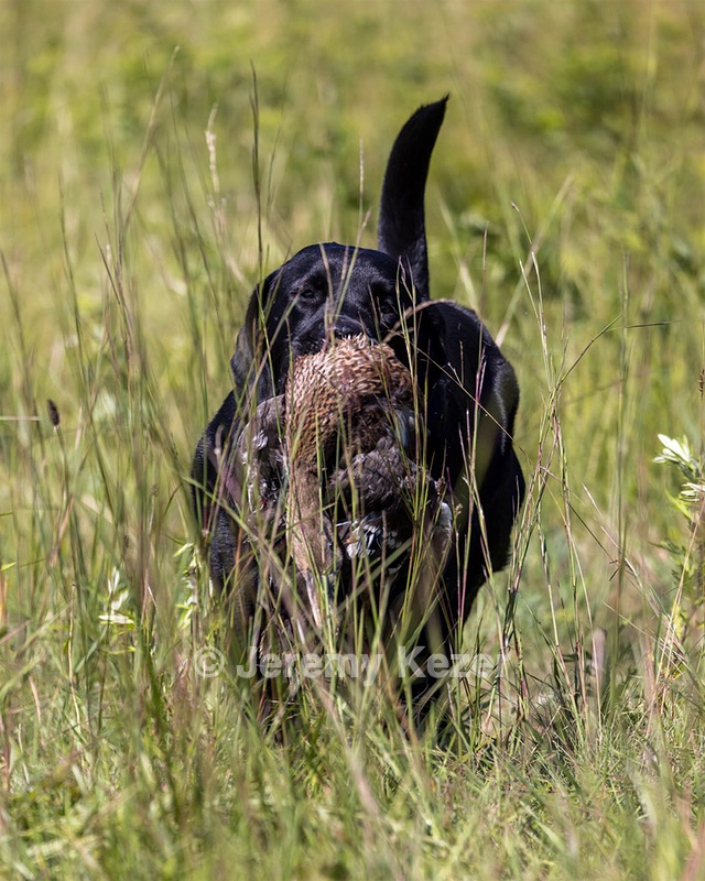 Ruby Hebert