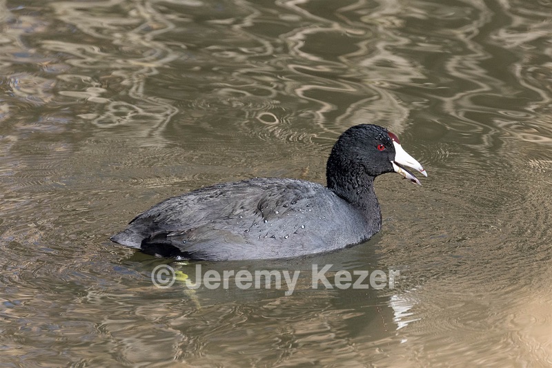 20151206-2572.jpg