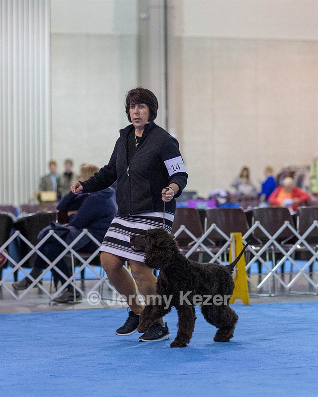 14 - Chantico's Super G O'Muddy Waters (Ghillie)