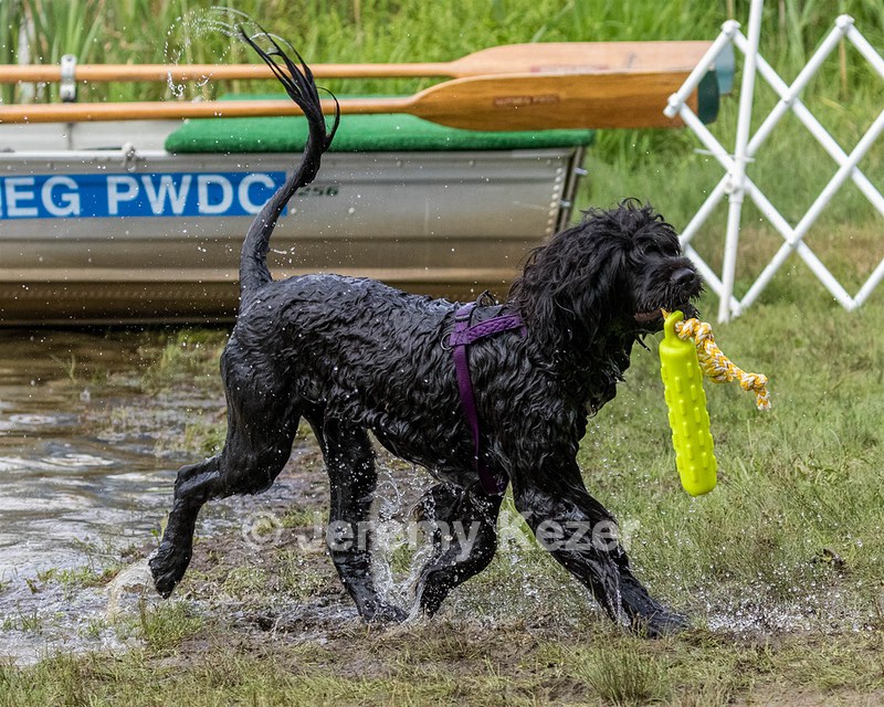 Saoirse