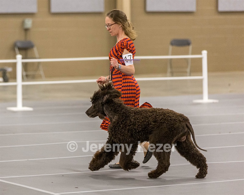 17 - Ballyhoo’s V Finnegan Mcneill BN FDC CA BCAT DS DJ CGCA TKN VHMA JH JHU WD