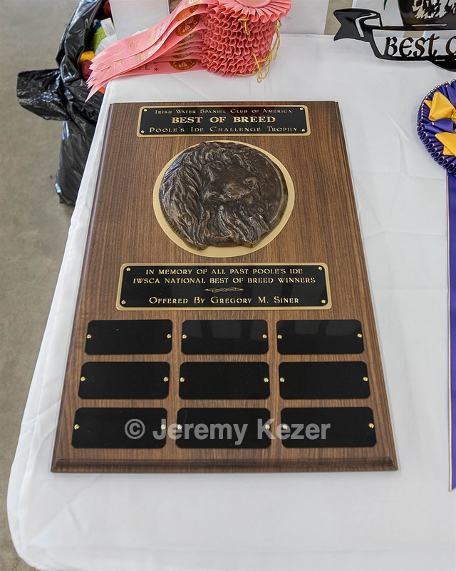 20190515-C-0005.jpg