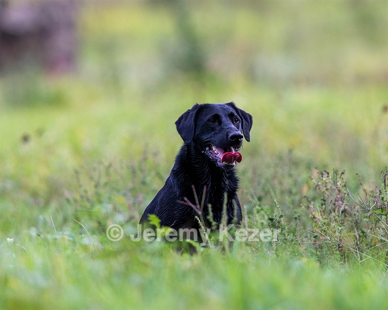 20160924-SHL-0022.jpg
