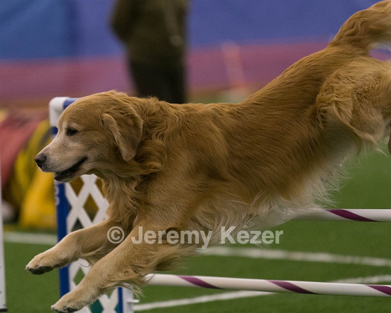 20150321-LEAP-0326.jpg
