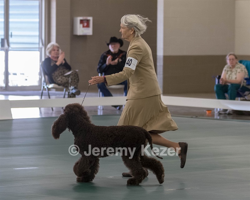 40 - GCH POOLE'S IDE BONNIE BROOK CD RE CGC