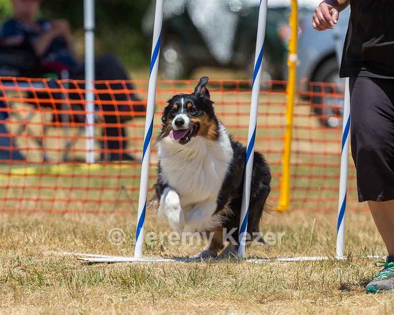 20160619-CCKC-1015.jpg