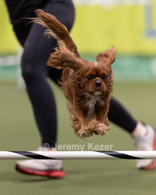 Velo Kenney