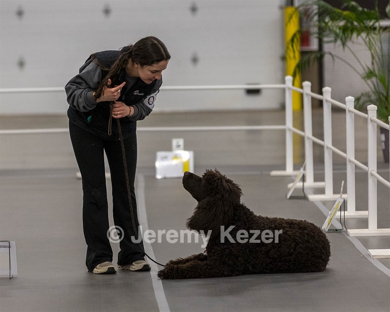 707 - CH Poole’s Ide Riptide RN CGC (Rip)