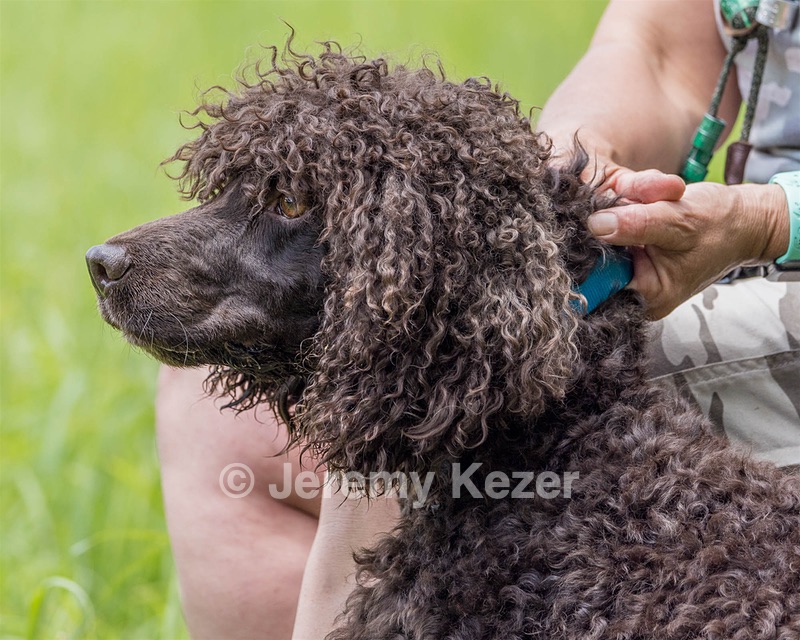 Ghillie Kezer