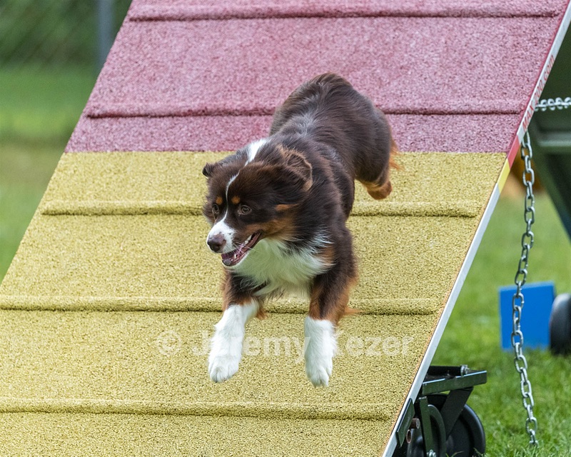 20200819-2802.jpg