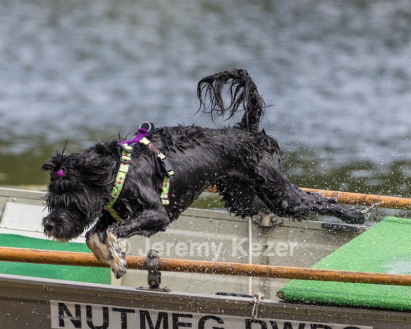 Dottie Notestine