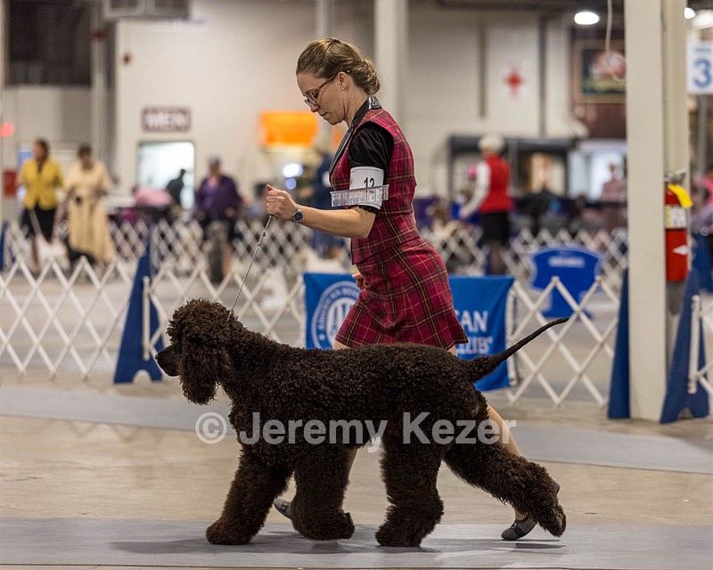 12 - GCH EPIK'S IN OMNIA PARATUS CGC ATT BCAT (Myna)