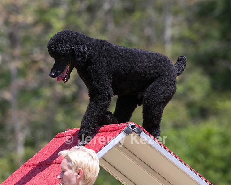 20150613-CCKC-0251.jpg