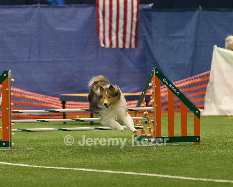 20150321-LEAP-1397.jpg