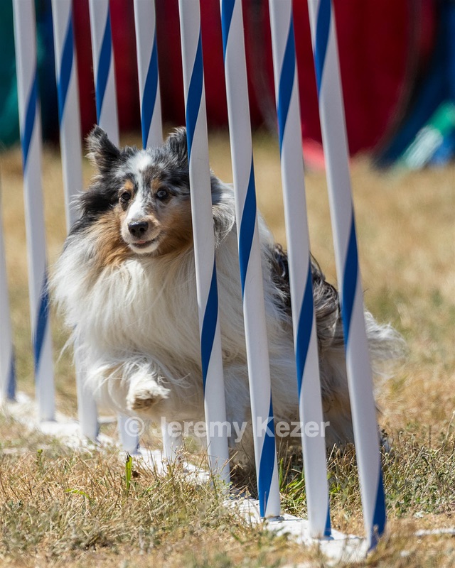 20160618-CCKC-1909.jpg