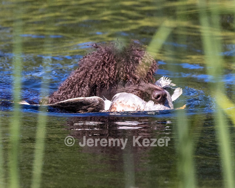 Ghillie Kezer