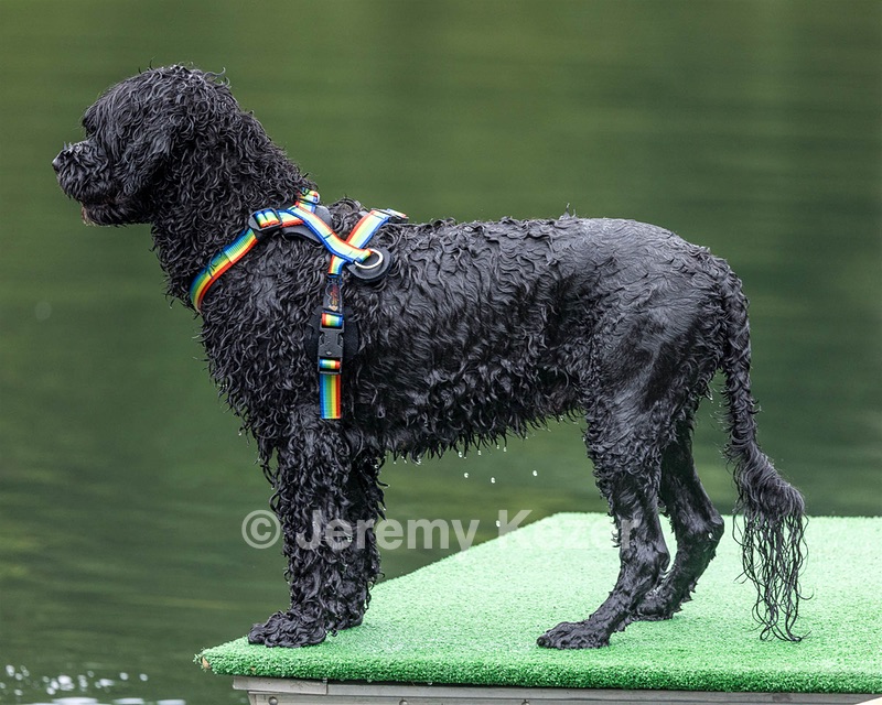 Scarlett Freeman
