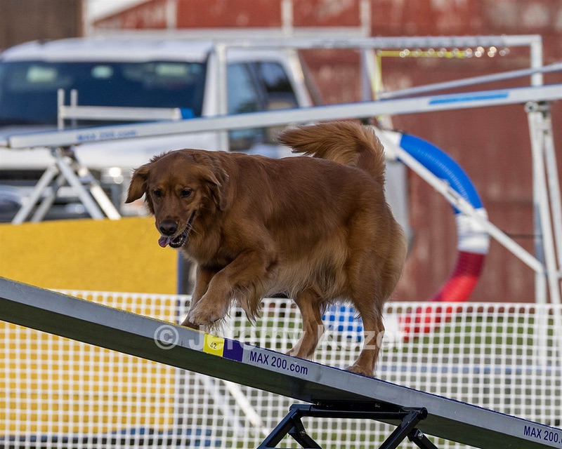 20230916-PVKC-1741.jpg