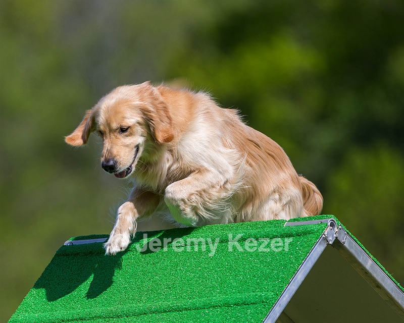 Ollie Erbe