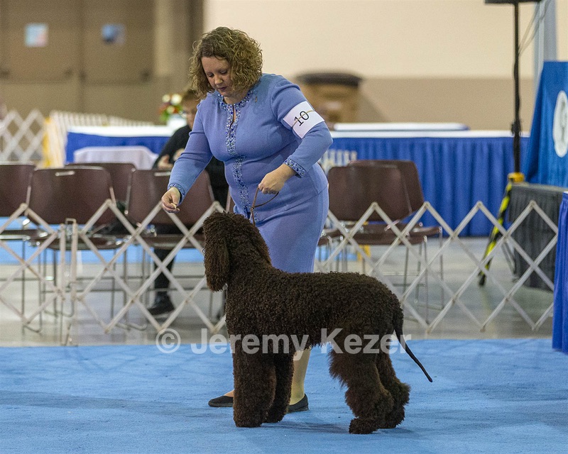 10 - Poole's Ide Touch Of Mink (Darla)