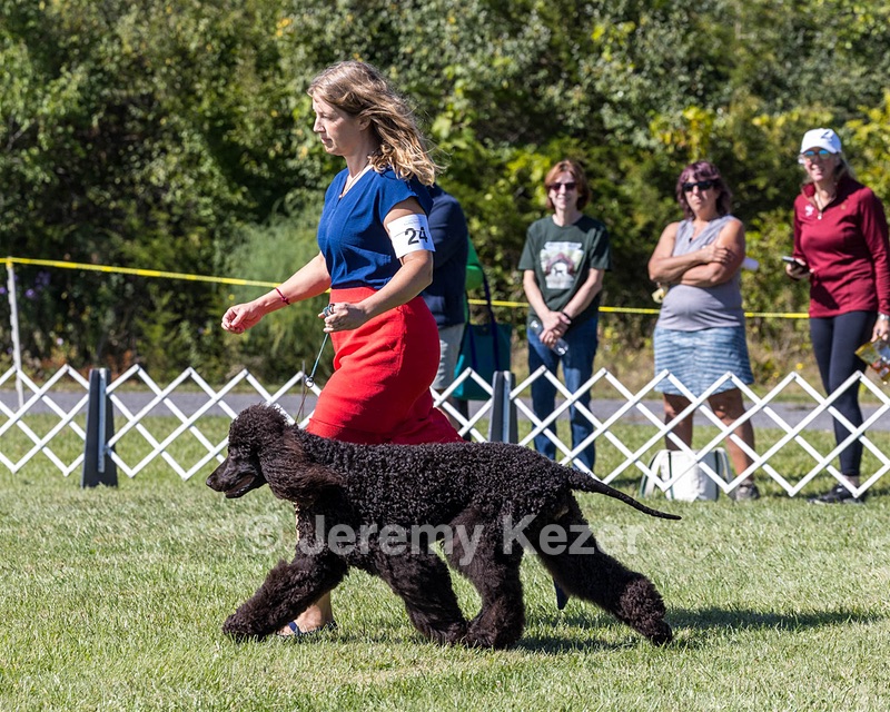 24 - POOLE'S IDE MODERN LOVE CGC (Remi)