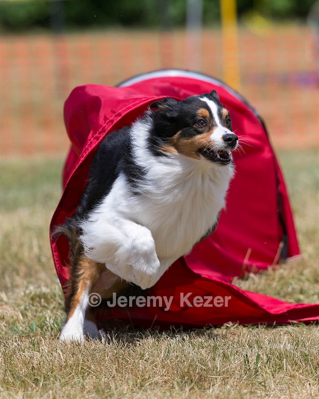 20150613-CCKC-0185.jpg
