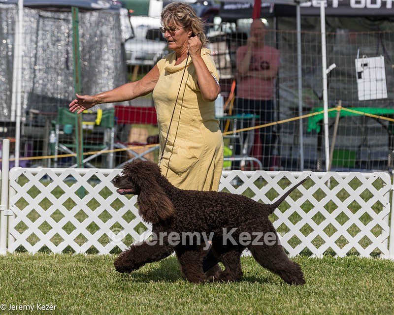 86 - GCH CH Chantico's The Power Of One (Allure)