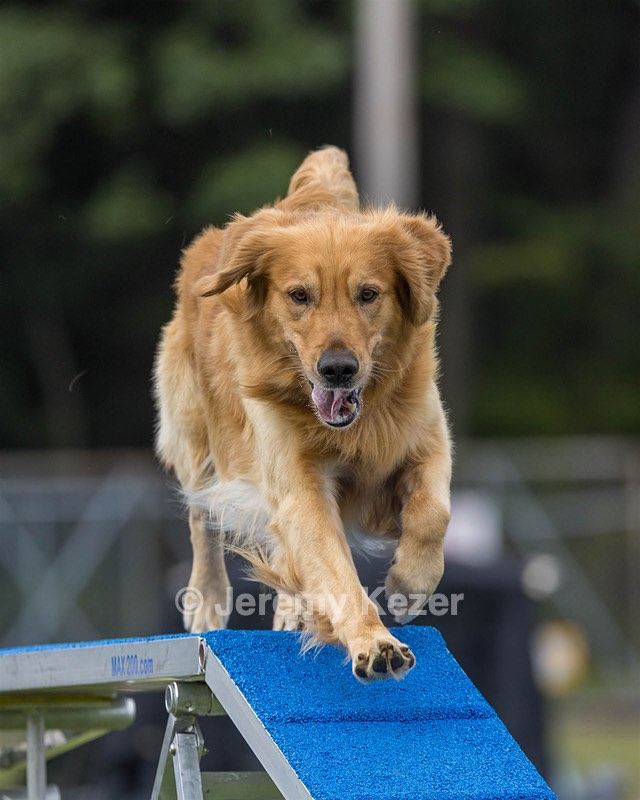 Chance Black