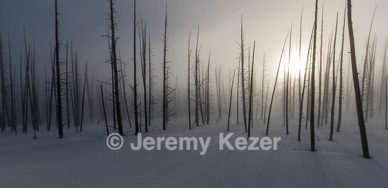 Yellowstone National Park, Montana