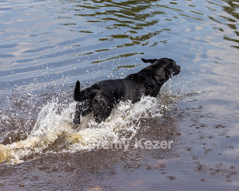 Daisy Driscoll