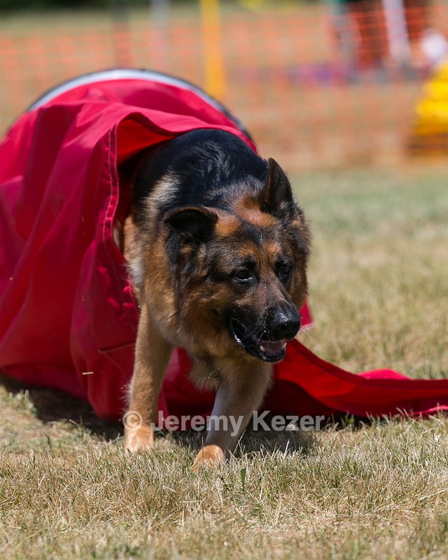 20150613-CCKC-0303.jpg