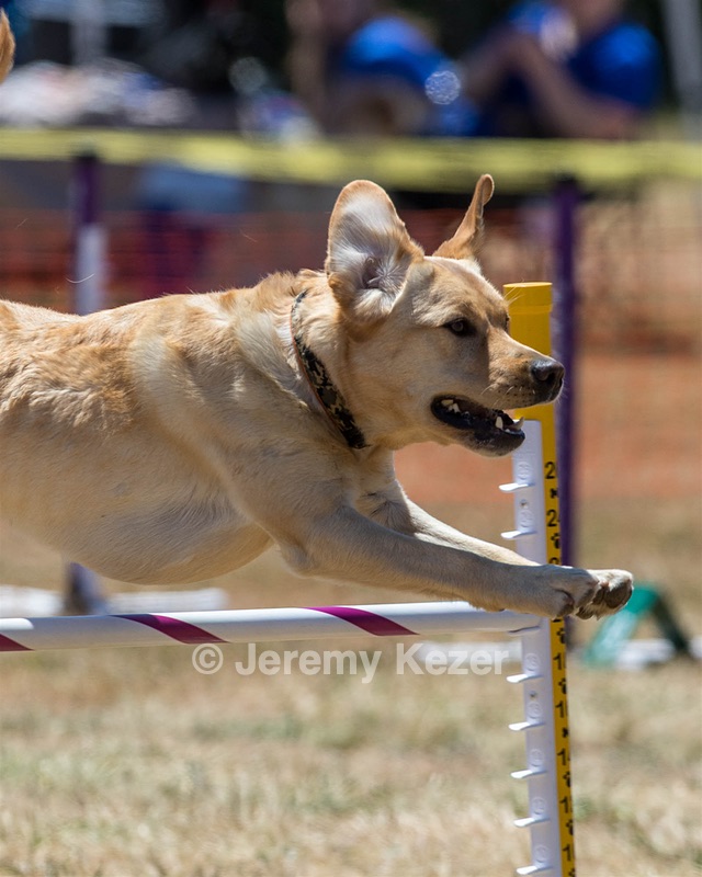 20160618-CCKC-1595.jpg