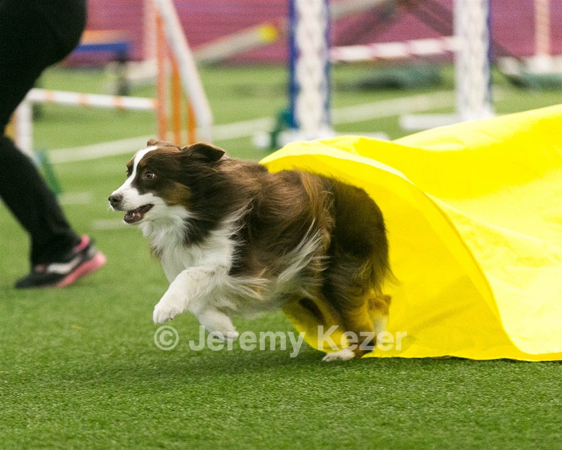 20150322-LEAP-0337.jpg