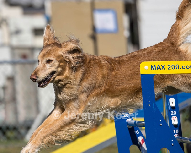 20230917-PVKC-2610.jpg