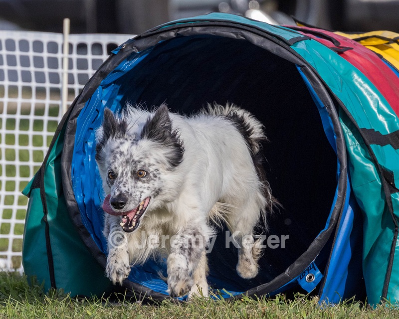 20230916-PVKC-1646.jpg