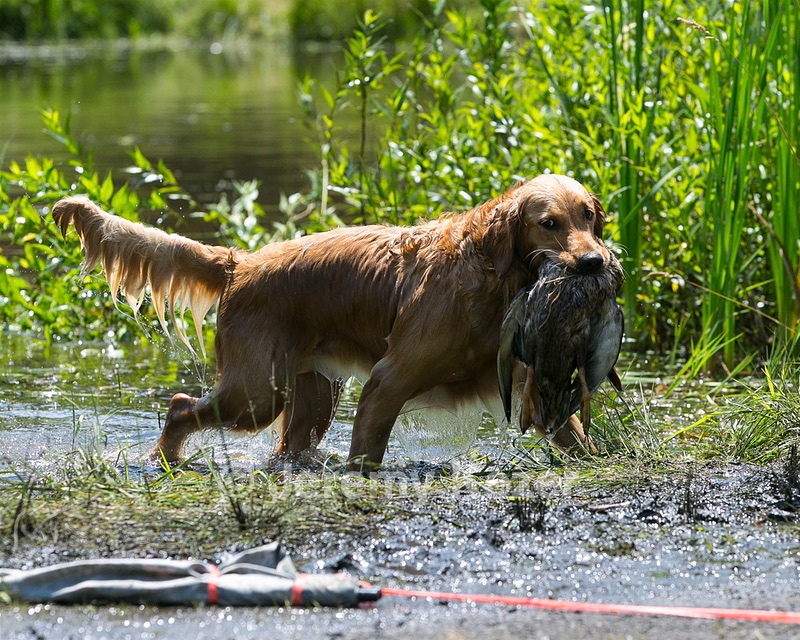 20130714-MHB2-0054.jpg