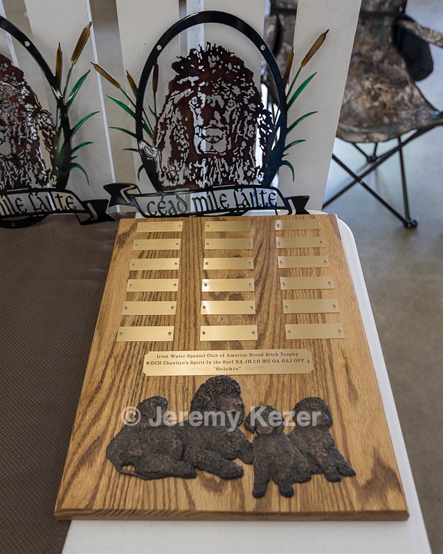 20190515-C-0018.jpg