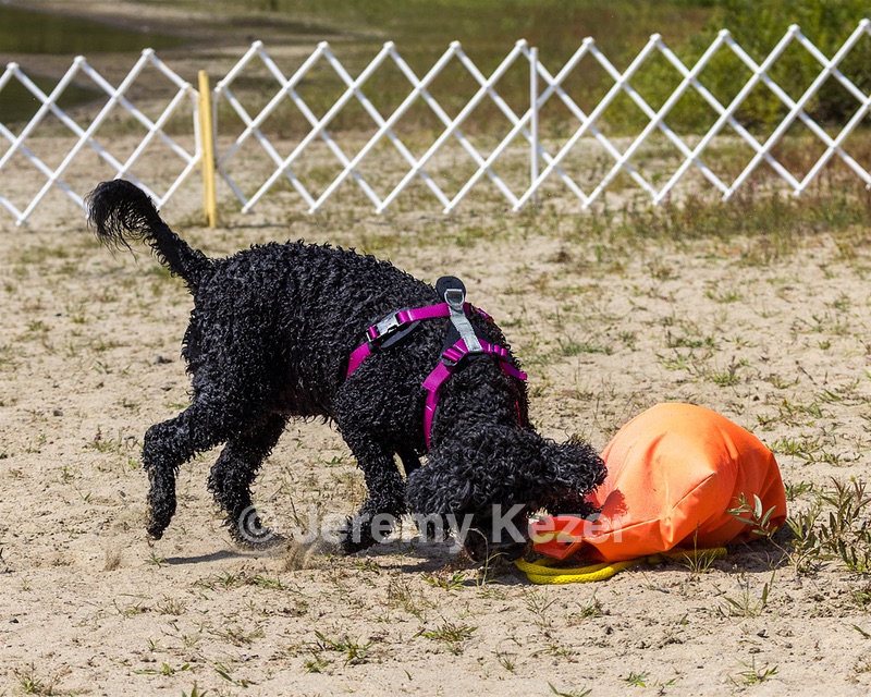 Tango Abbruzzese