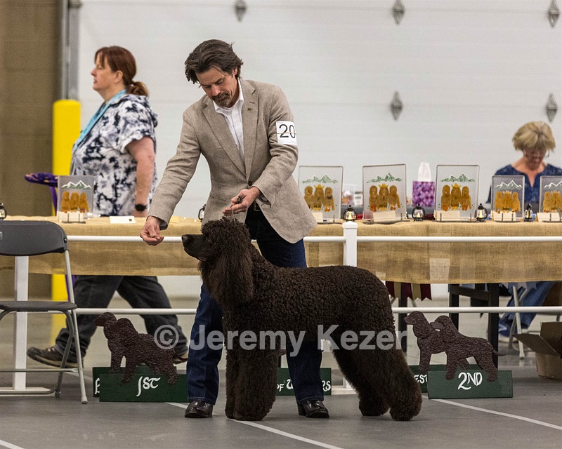 201 - CH Realta & Sycomore O’Boy