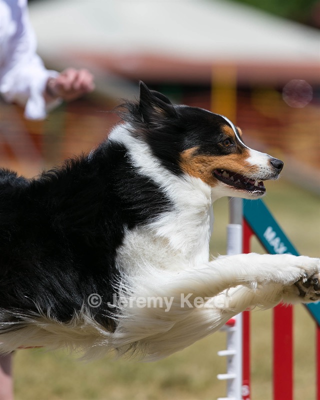 20150613-CCKC-0188.jpg