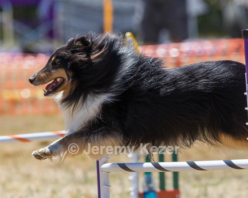 20160618-CCKC-1707.jpg