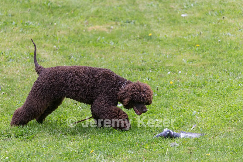 20190512-BD-0024.jpg
