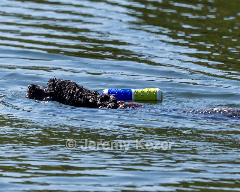 Guido McCracken