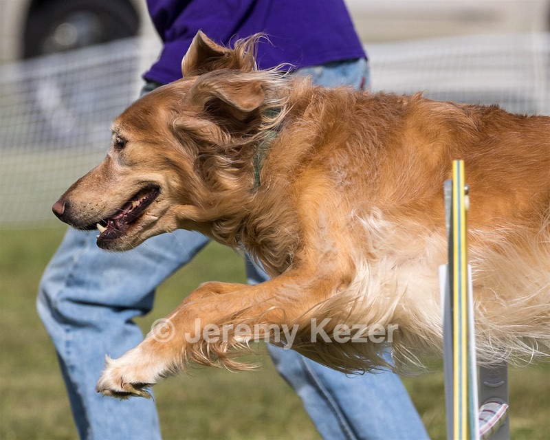 20230916-PVKC-1303.jpg