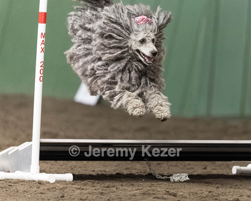 Peetie Sulewski