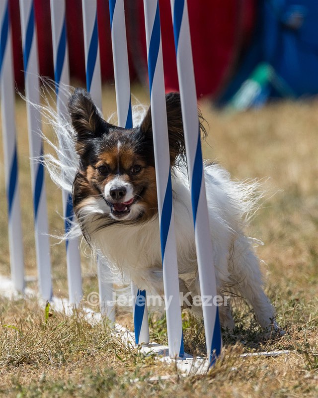 20160618-CCKC-1876.jpg