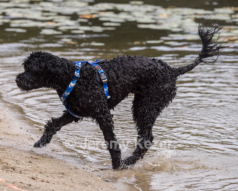 Oceano Robinson