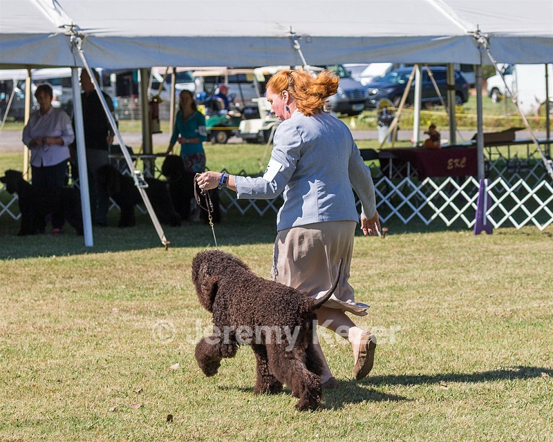 05 - GCH WATERFORD'S TROUBLE BREWING